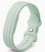 Fitbit band